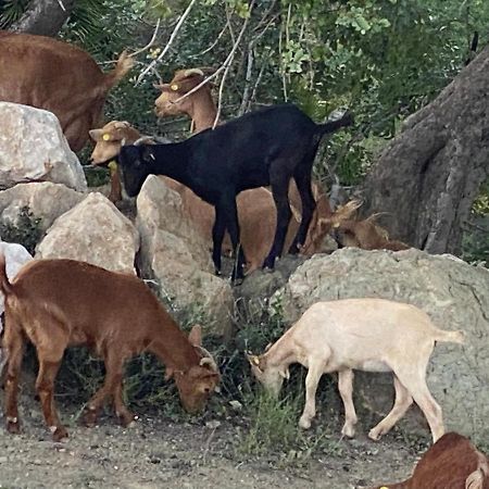 Cortijo Las Palmeras El Chorro อะโลรา ภายนอก รูปภาพ