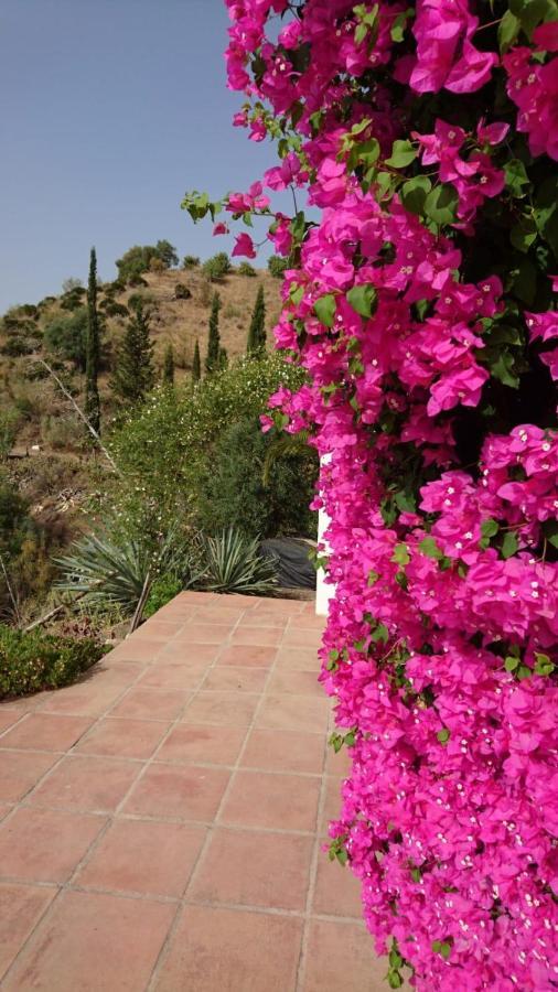 Cortijo Las Palmeras El Chorro อะโลรา ภายนอก รูปภาพ
