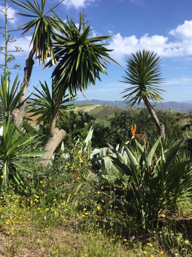 Cortijo Las Palmeras El Chorro อะโลรา ภายนอก รูปภาพ
